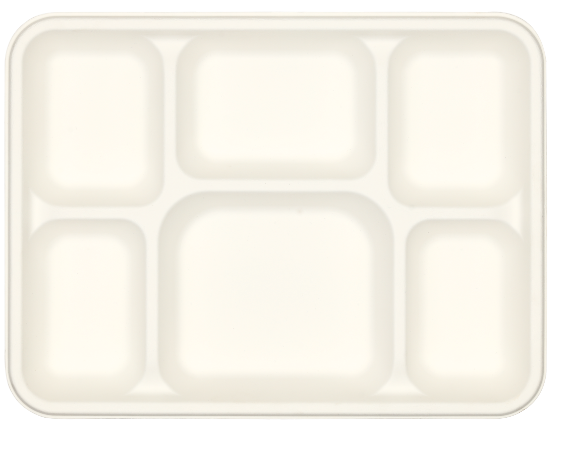 6 CP Rectangular Plate